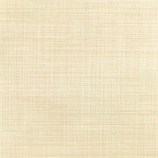 Ткань для рулонных штор Benone 7858 - изображение 1 - заказать онлайн в салоне штор Benone в Рузе